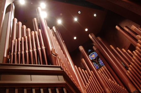 organ
